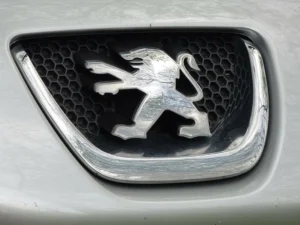 Votre système AdBlue Peugeot est défectueux ? Optez pour une réparation conforme !